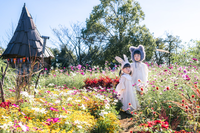 花の湘南